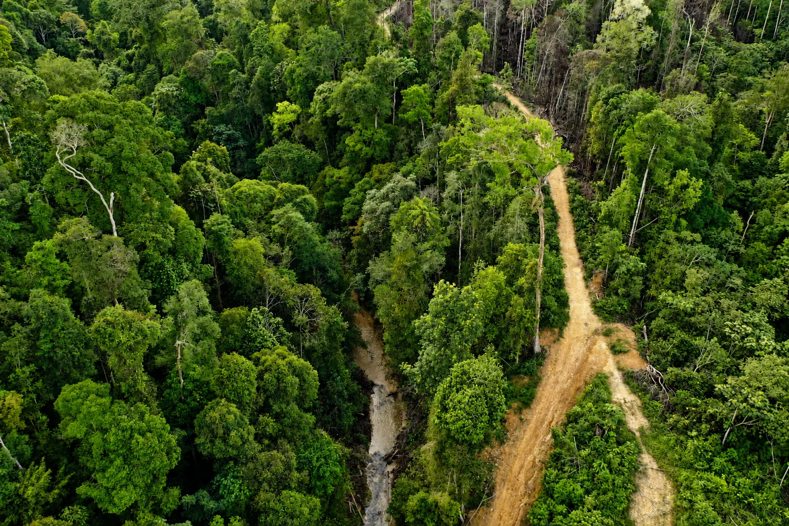Aerial view of forest, water and an access route in the Bukit Batabuh landscape, Kuantan Singingi.