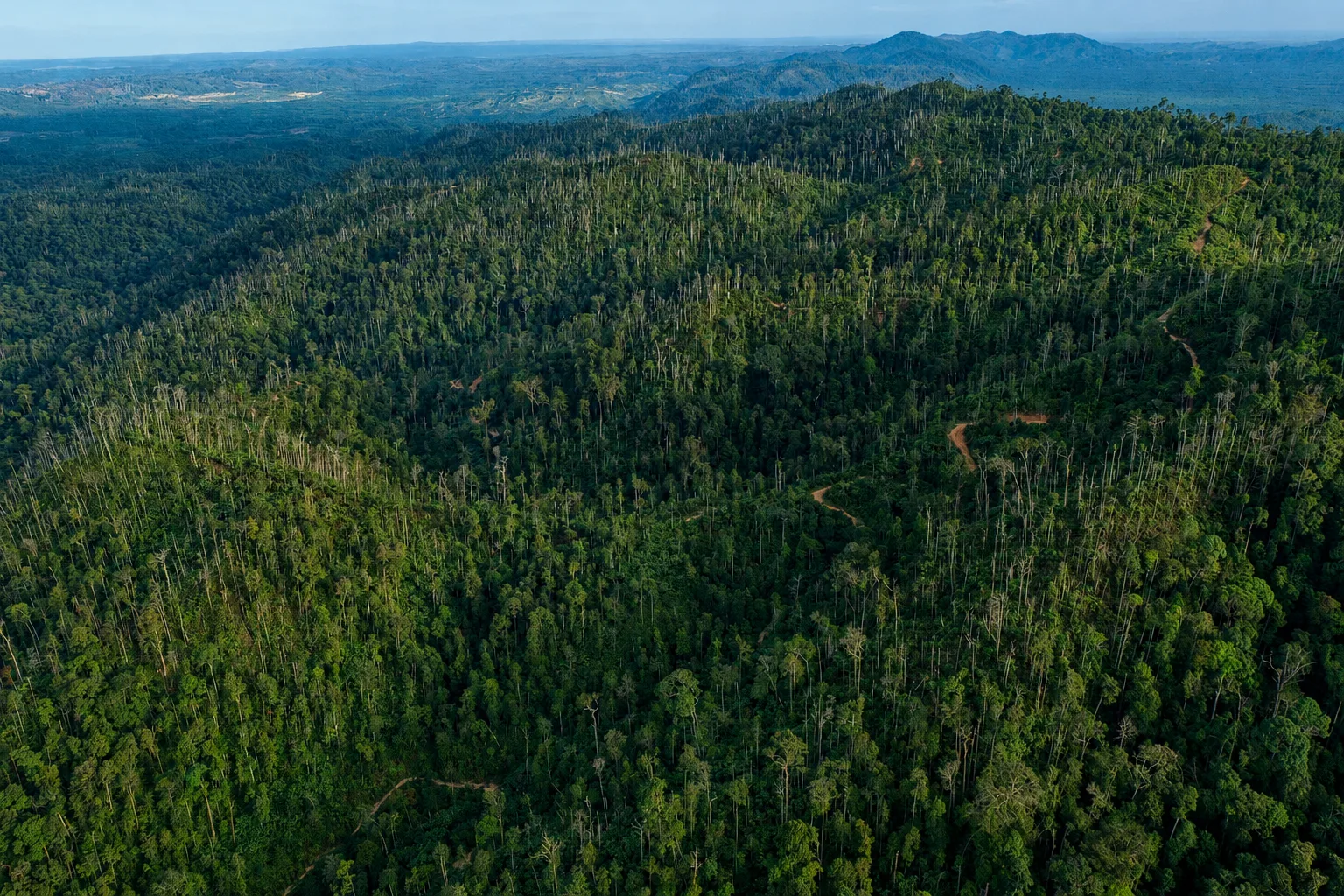 Aerial view of Bukit Batabuh Protected Forest in Kuantan Singingi, Riau.