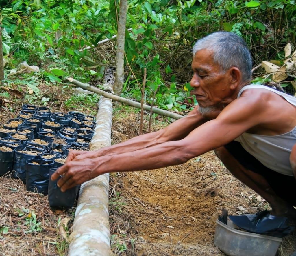 Transforming forest conservation and sustainable livelihoods in Riau, Indonesia