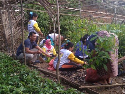 Community members working in a group nursery during the KPH Singingi rehabilitation programme