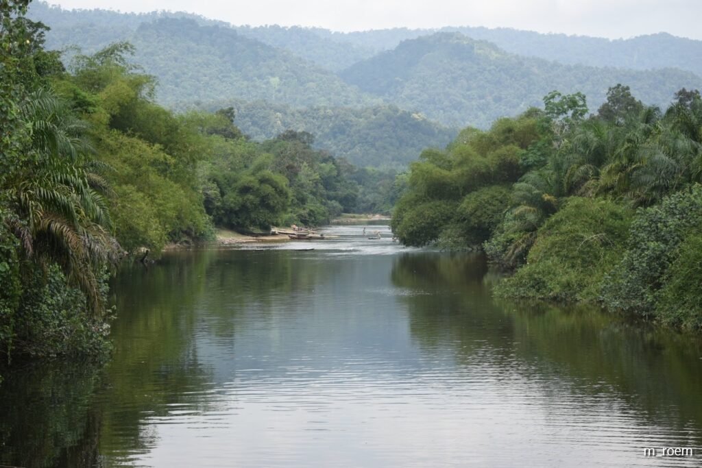 River and forest landscape in Singingi, Riau