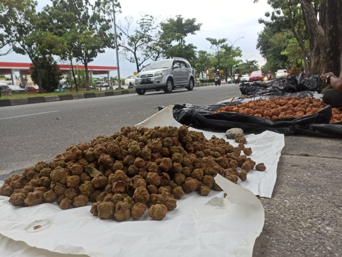 Tampui and barangan forest fruits displayed at a roadside stall in Pekanbaru