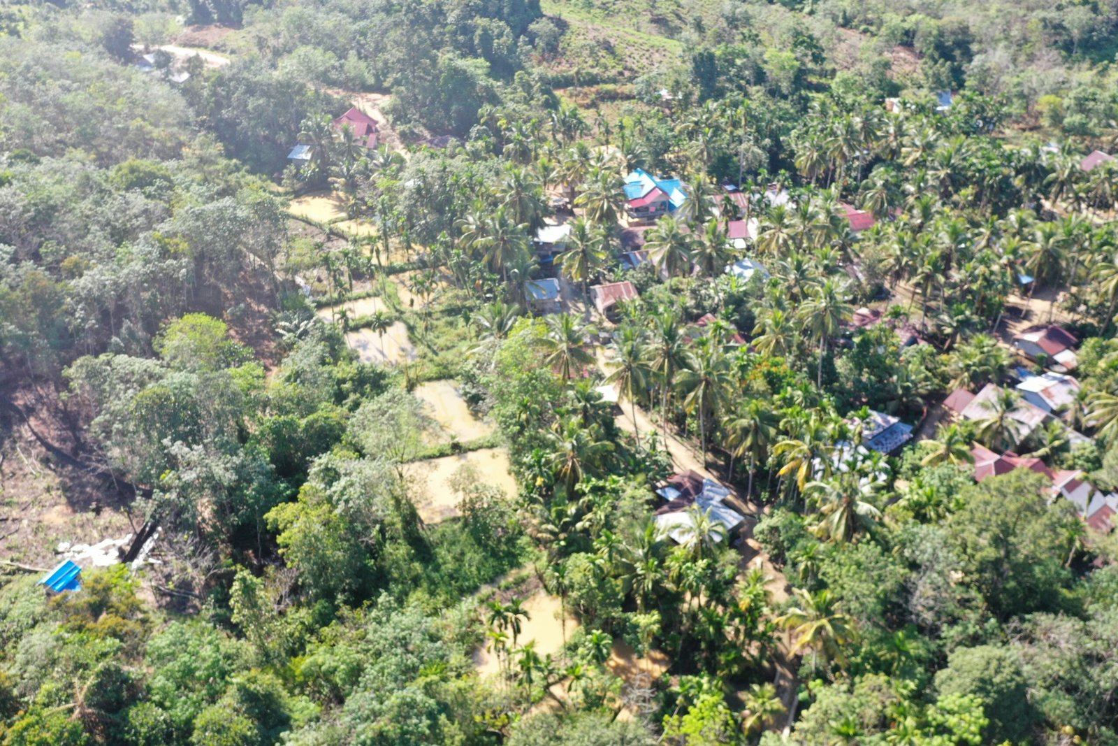 Integrated Village Development for a Sustainable Lubuk Bigau