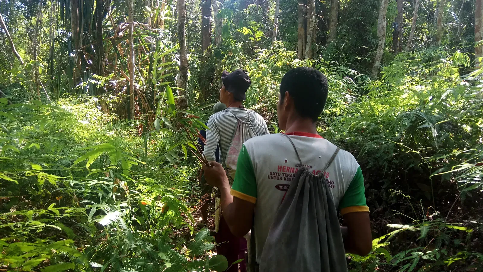 Two community forest patrol members walking through dense tropical vegetation.