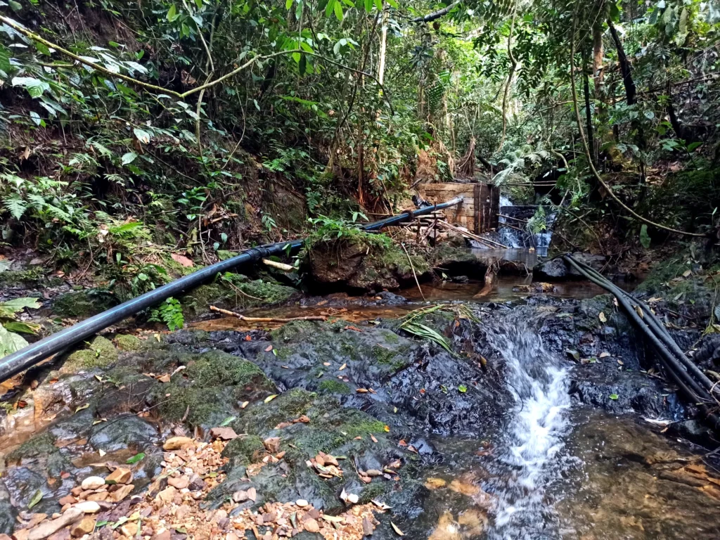 Black pipeline following a shallow watercourse through forest in Lubuk Bigau.
