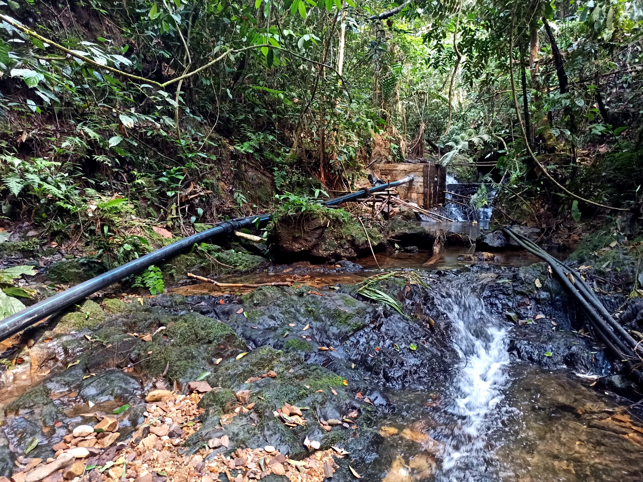 Clean Water for Lubuk Bigau and School Sanitation in Tanjung Sari