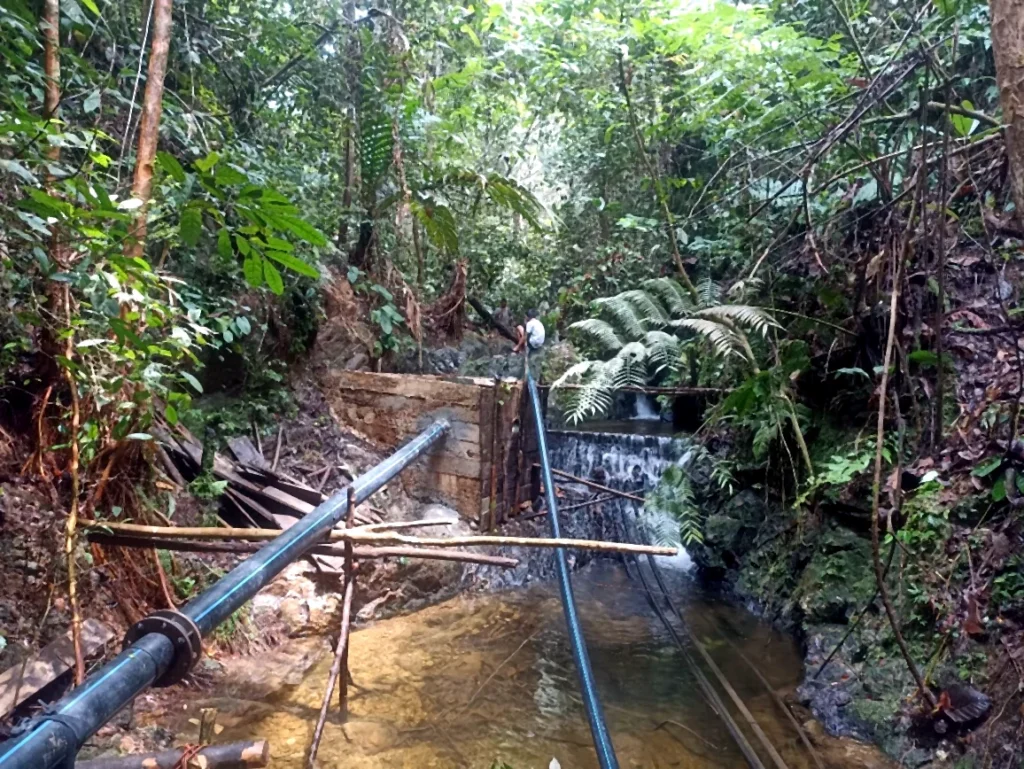 Black pipeline running beside a small stream surrounded by forest vegetation.