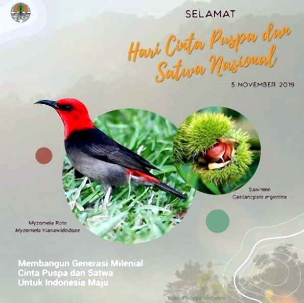 Poster Hari Cinta Puspa dan Satwa Nasional 2019 yang menampilkan saninten atau Castanopsis argentea.