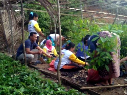 Sejumlah anggota masyarakat bekerja di persemaian kelompok.